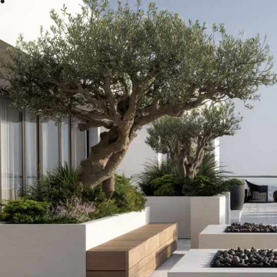  Annonces VAULX EN VELIN : Appartement | TASSIN-LA-DEMI-LUNE (69160) | 130 m2 | 815 000 &euro; 