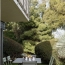  Annonces VAULX EN VELIN : Appartement | LYON (69008) | 60 m2 | 280 820 &euro; 