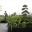  Annonces VAULX EN VELIN : Apartment | TASSIN-LA-DEMI-LUNE (69160) | 85 m2 | 512 800 &euro; 