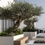  Annonces VAULX EN VELIN : Appartement | TASSIN-LA-DEMI-LUNE (69160) | 130 m2 | 815 000 &euro; 