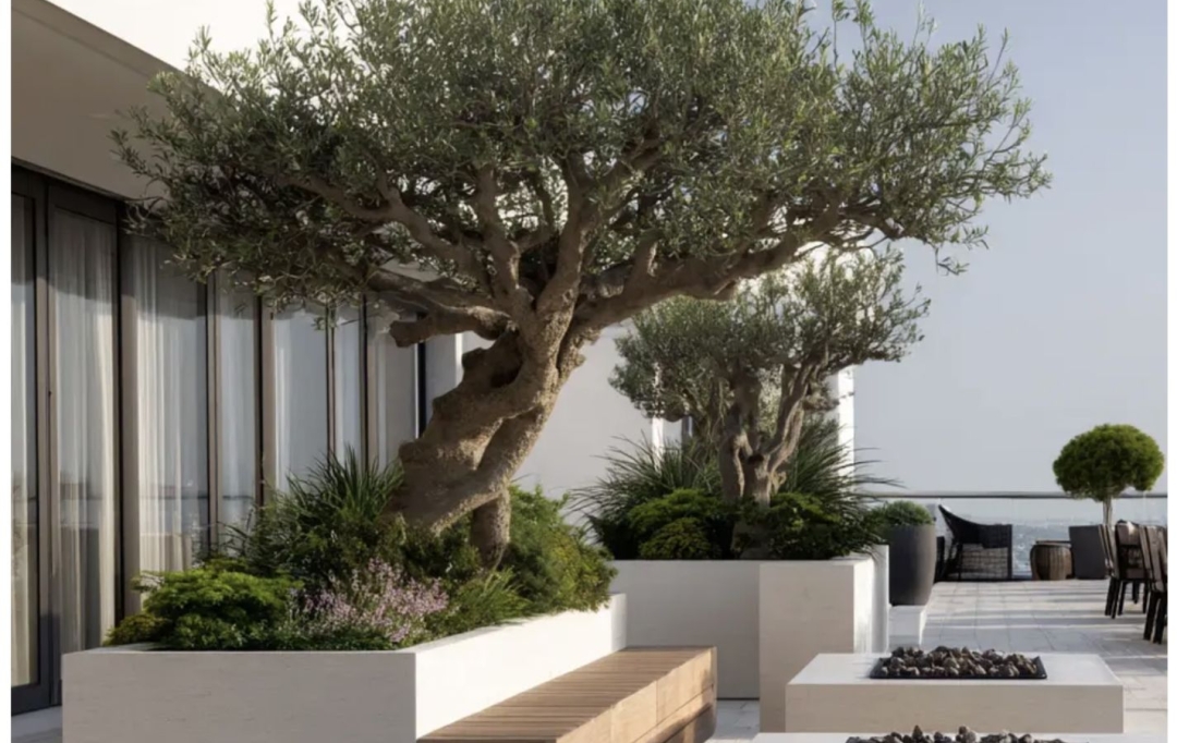Annonces VAULX EN VELIN : Appartement | TASSIN-LA-DEMI-LUNE (69160) | 130 m2 | 815 000 &euro; 