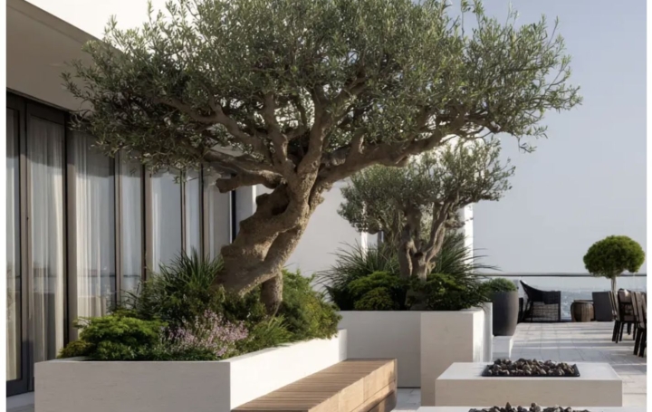 Annonces VAULX EN VELIN Appartement | TASSIN-LA-DEMI-LUNE (69160) | 130 m2 | 815 000 € 